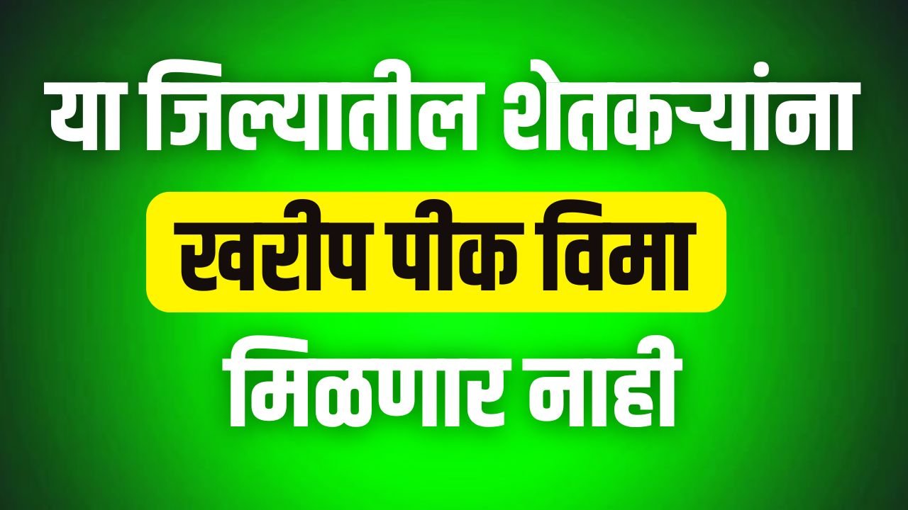 kharip pik vima news